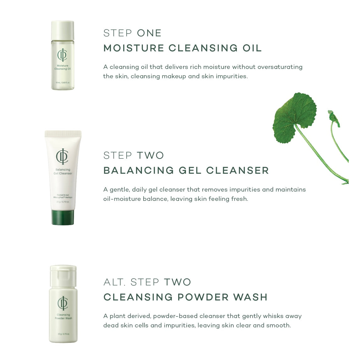 ICD Cleansing Experience Travel Kit